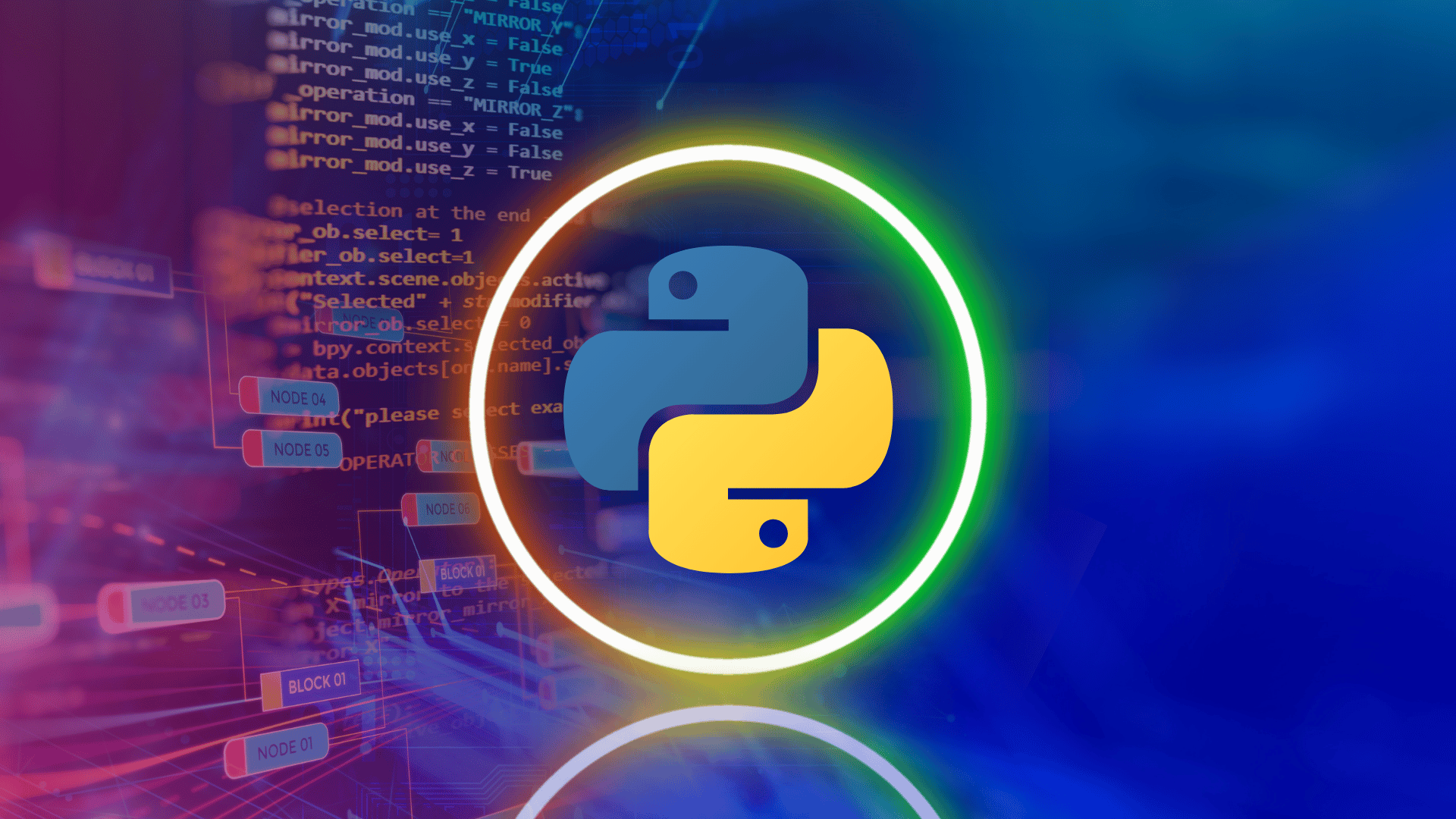 Python Code Assistant
