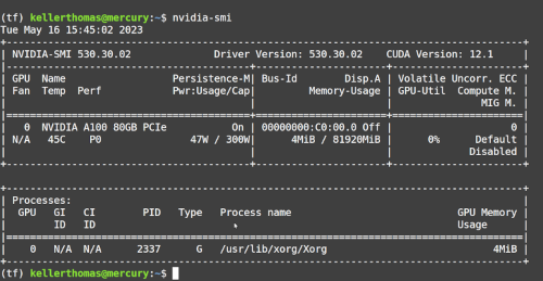 Nvidia SMI Output