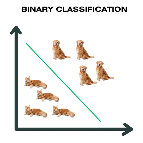 Binäre vs Multiclass Classification